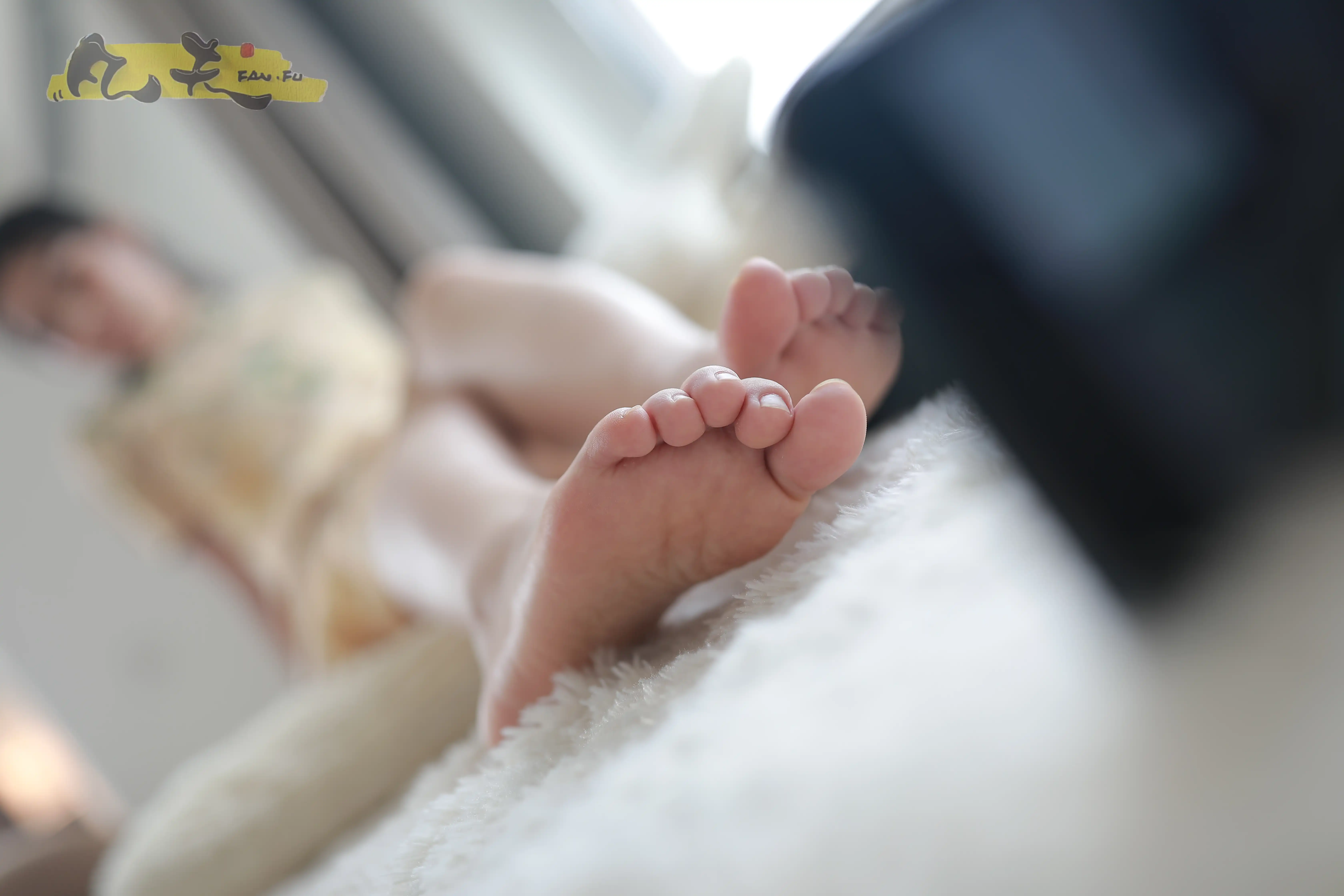 凡夫摄影 NO.0008 静丽 青灯古曲[263P+1V／2.72GB] - 第3张