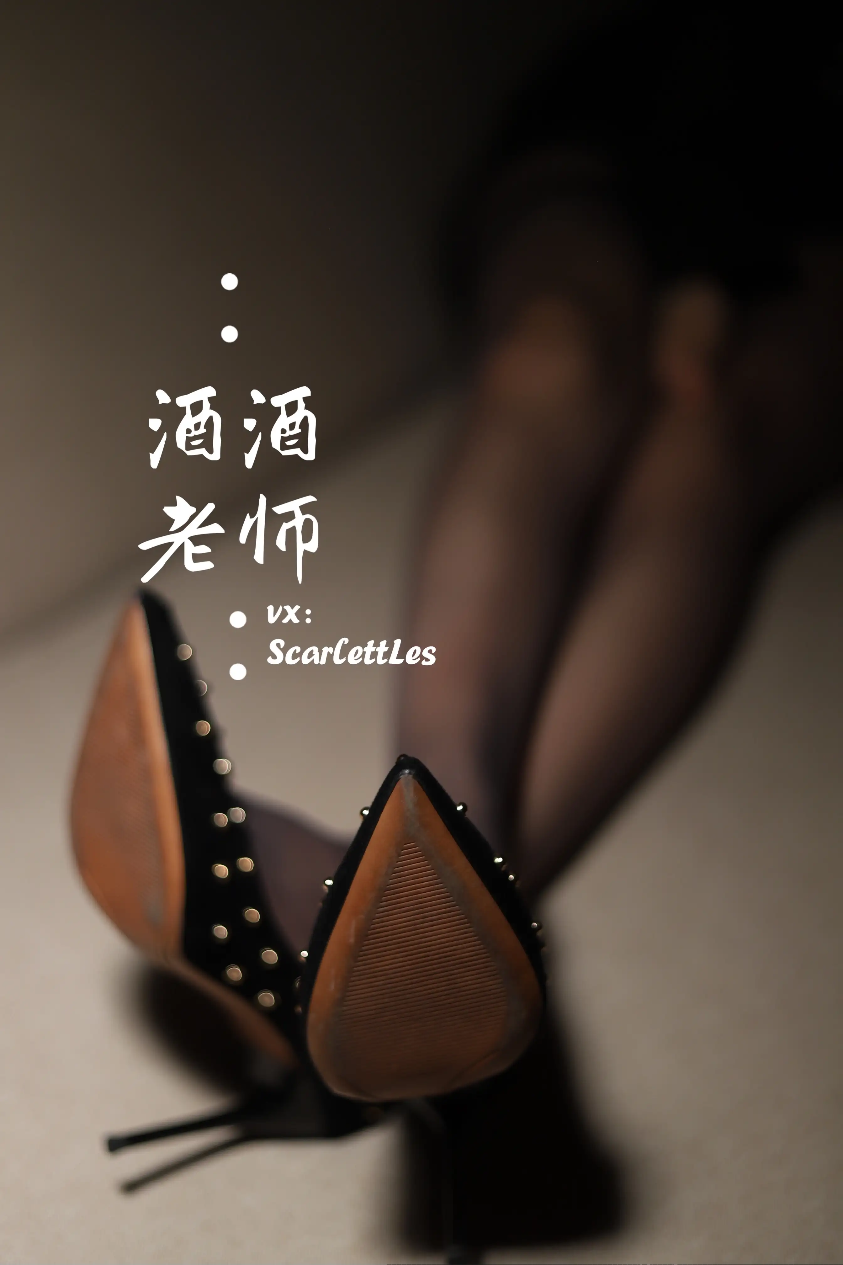 酒酒老师 17《紧身短裙S身形》 [52P+54M] - 第3张