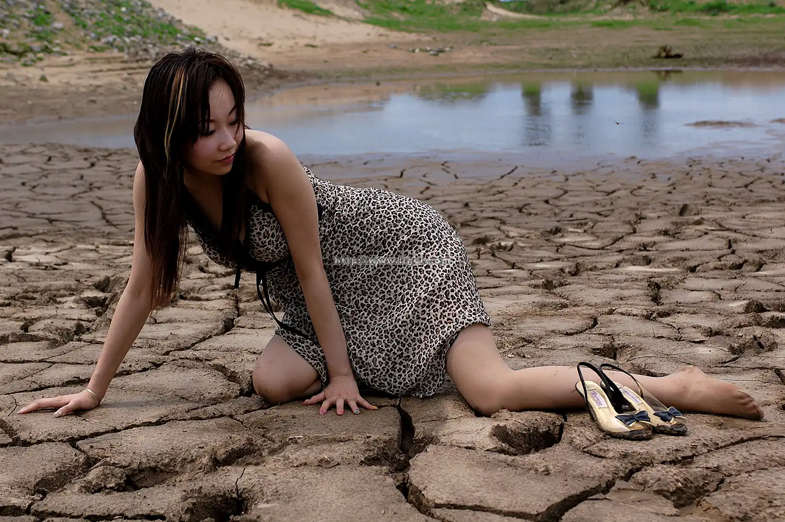 [Ligui丽柜] 2005-09-24