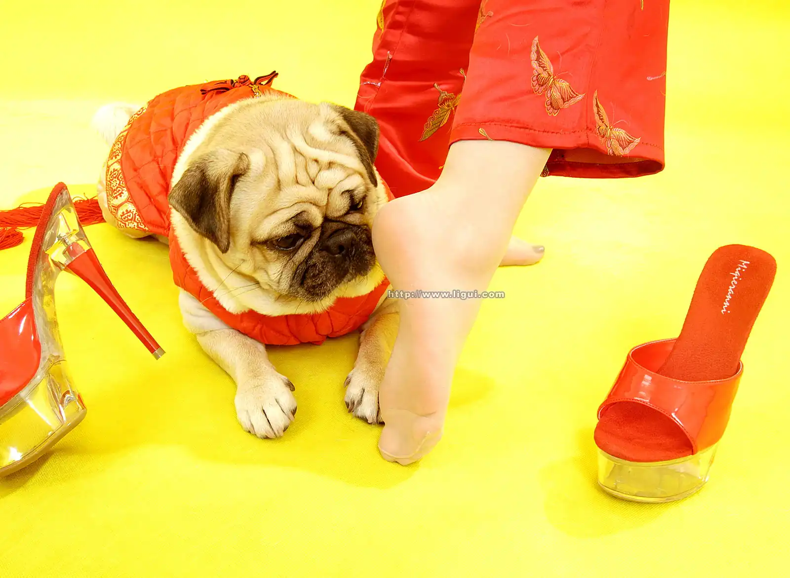 [Ligui丽柜] 2006-01-29 - 第2张