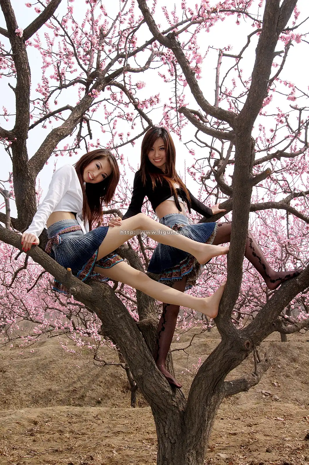 [Ligui丽柜] 2006-04-16 小惠&安心