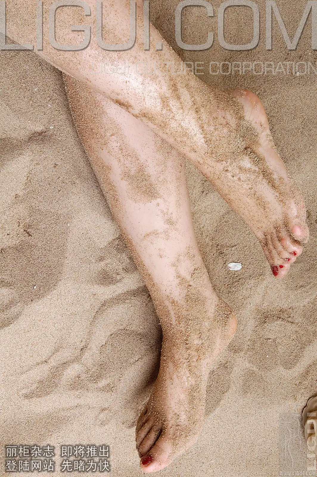[Ligui丽柜] 2007-03-12 小露露 - 第2张