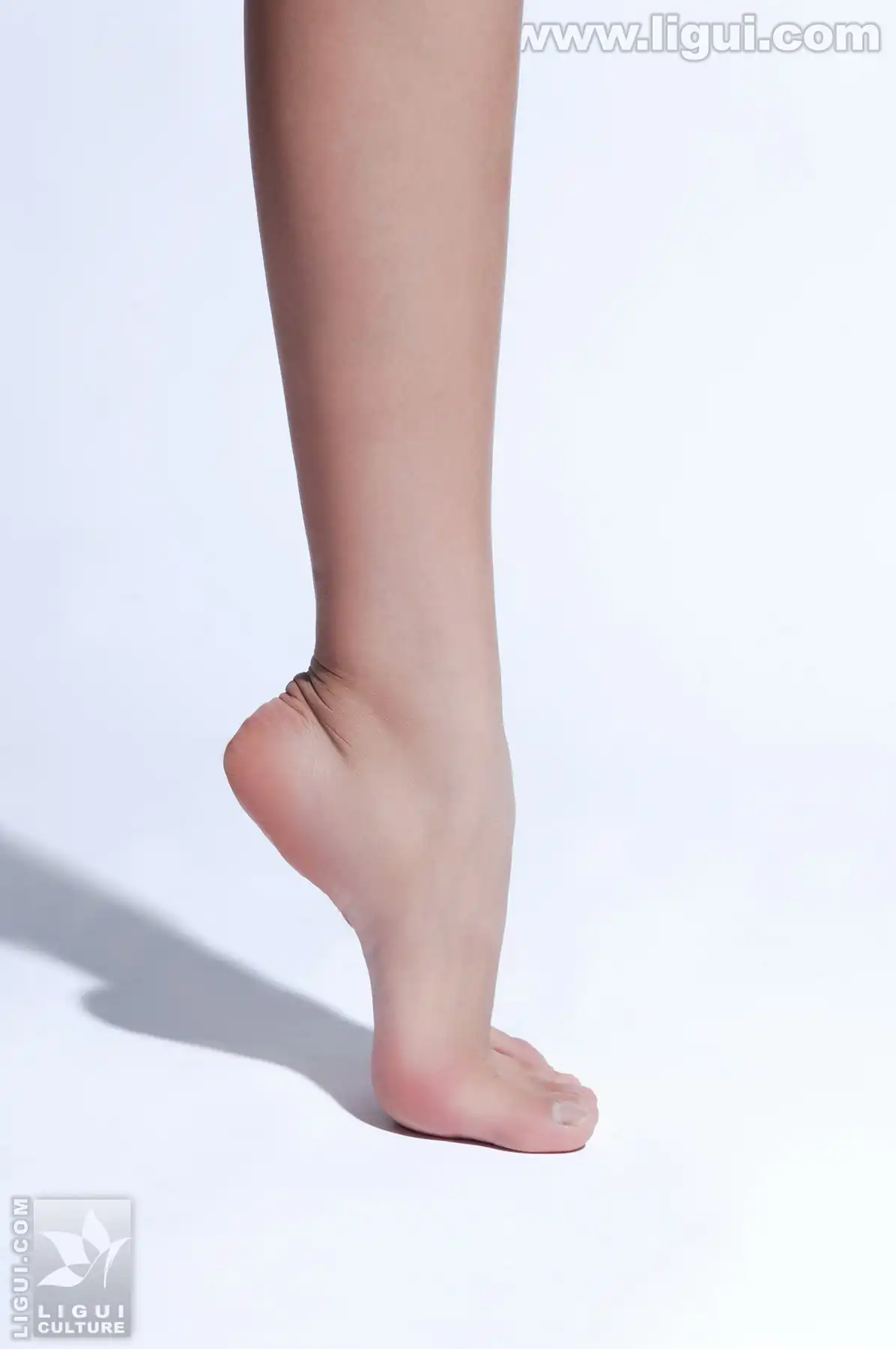 [Ligui丽柜] 2009.06.22 最新黑丝美女新丽人 model 王玉