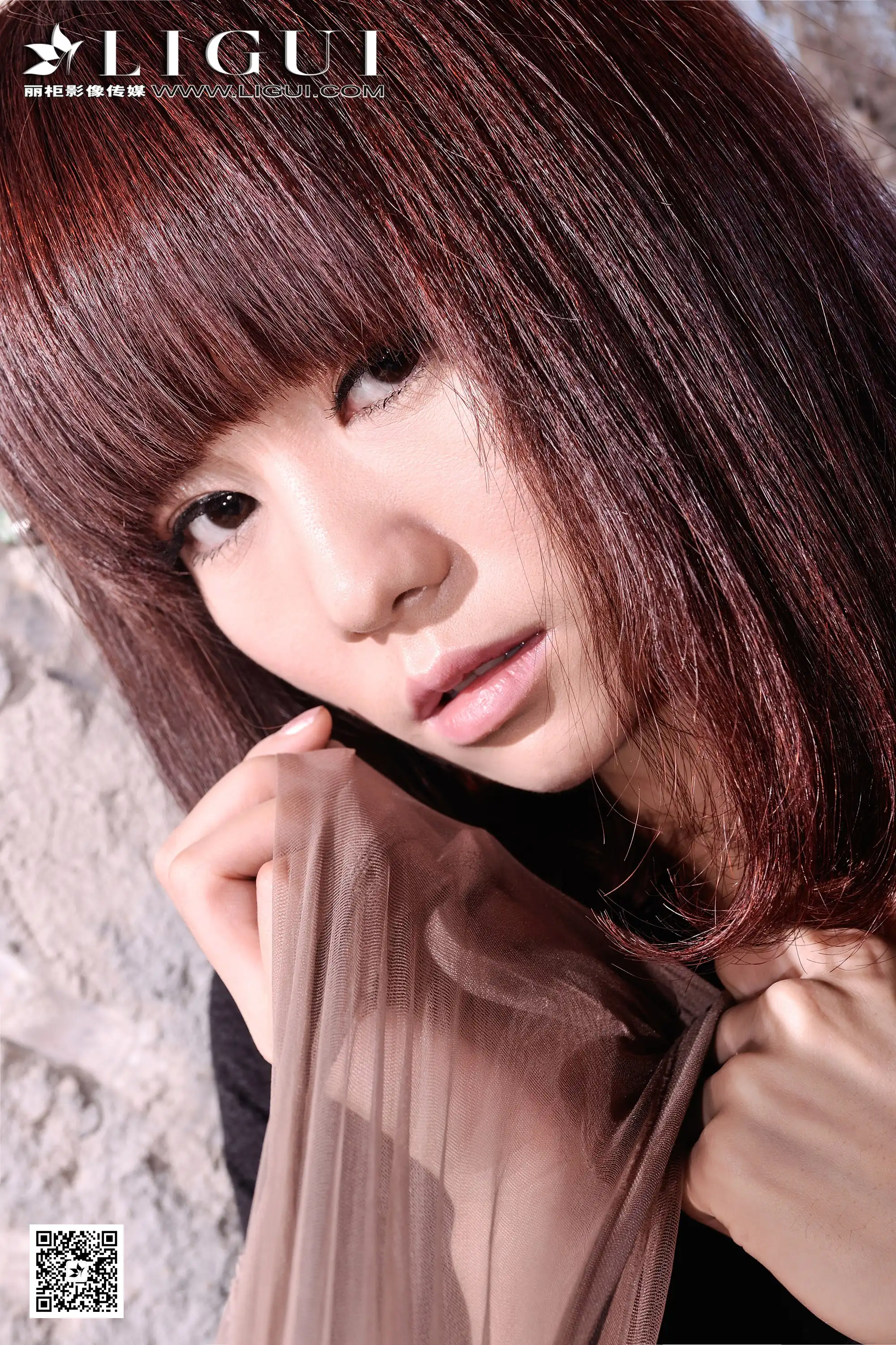 [Ligui丽柜] 2016.03.06 Model 安娜[21+1P30.6M]