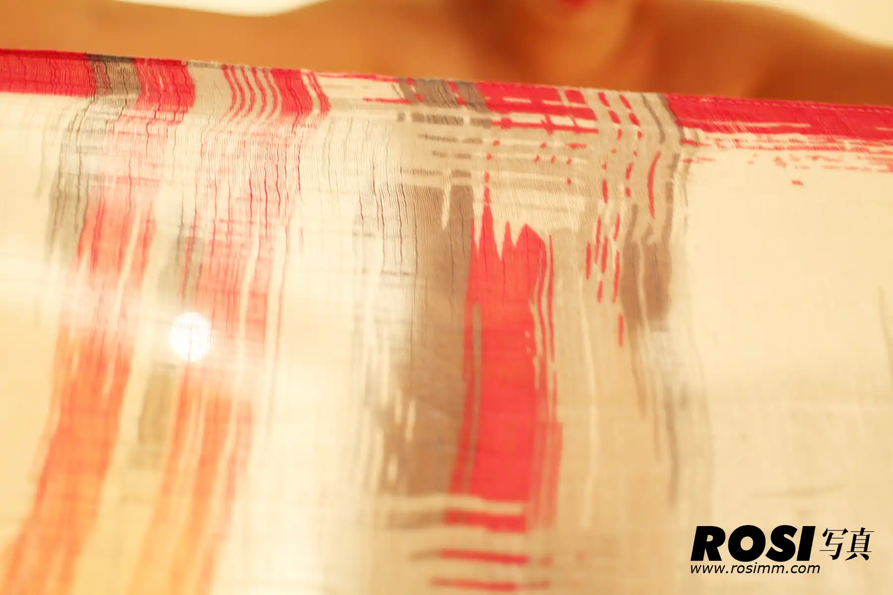 NO.128-ROSI - 第4张