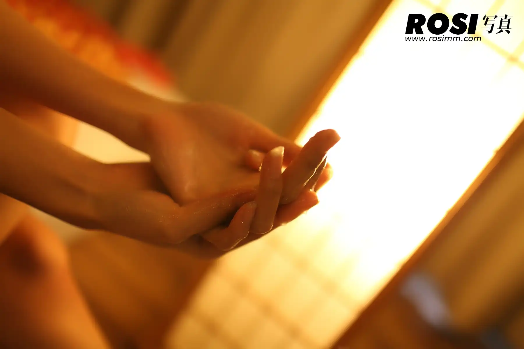 No.212-ROSI - 第2张