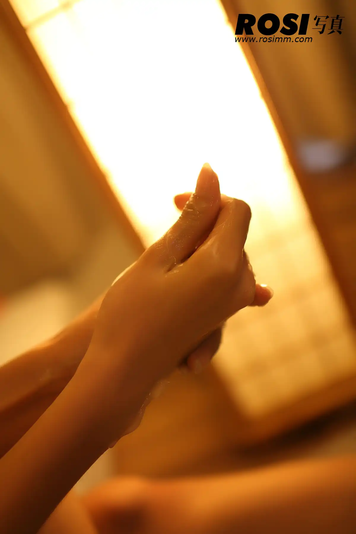 No.212-ROSI - 第4张