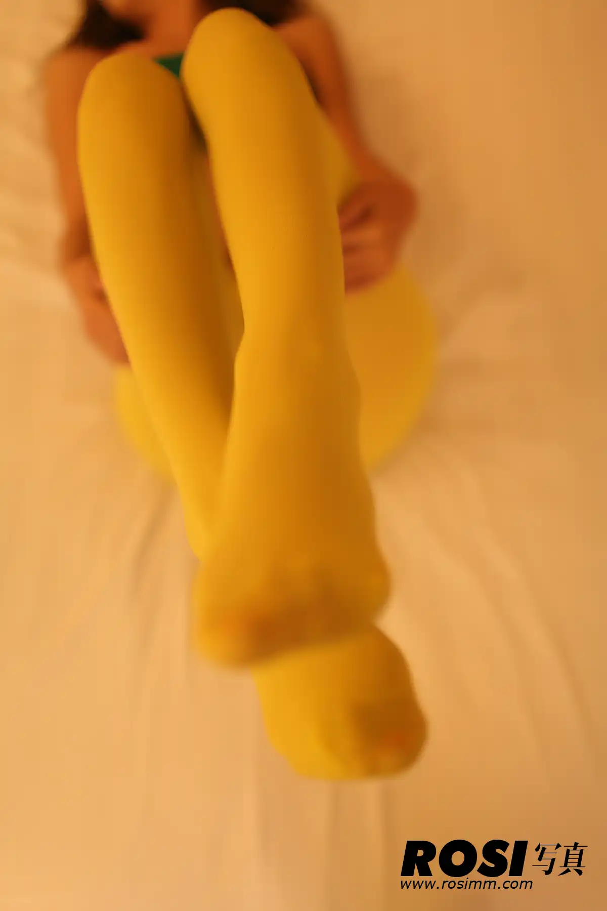 No.244-ROSI - 第3张