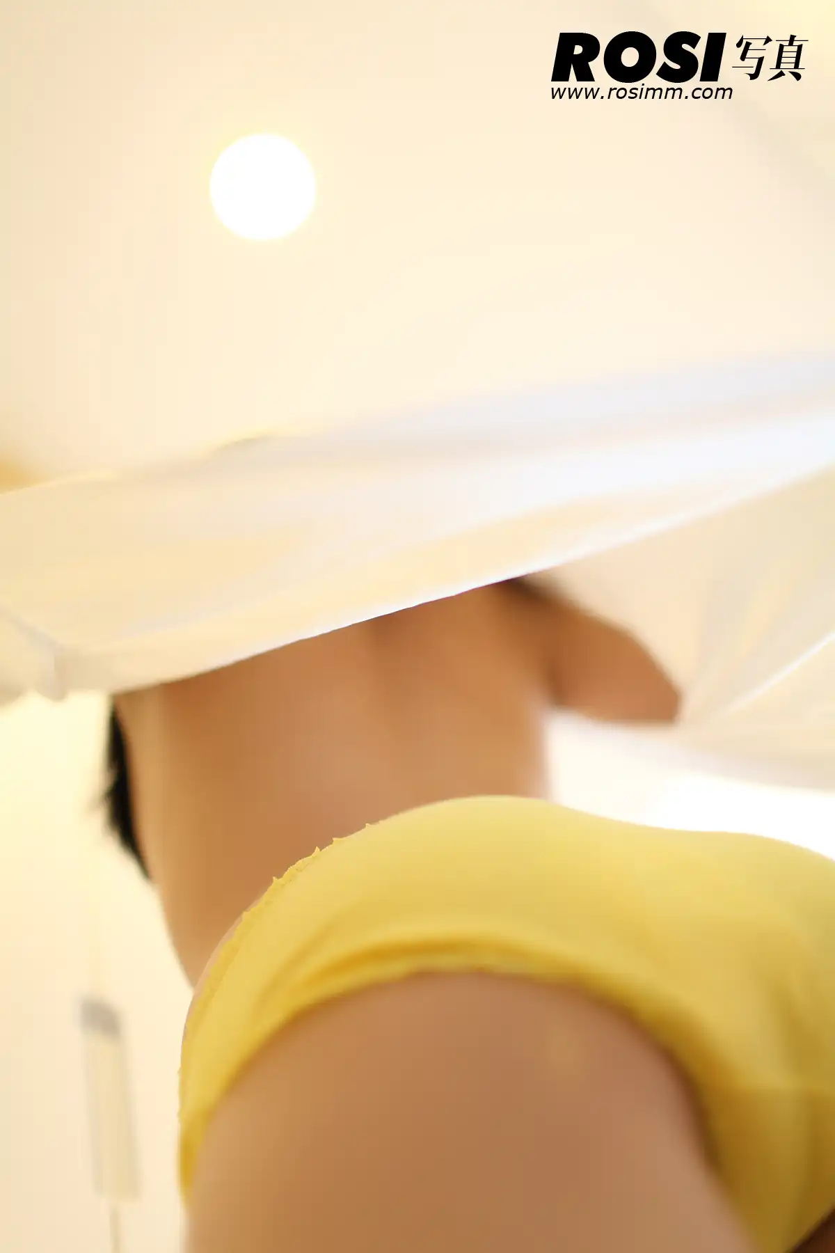No.267-ROSI - 第3张