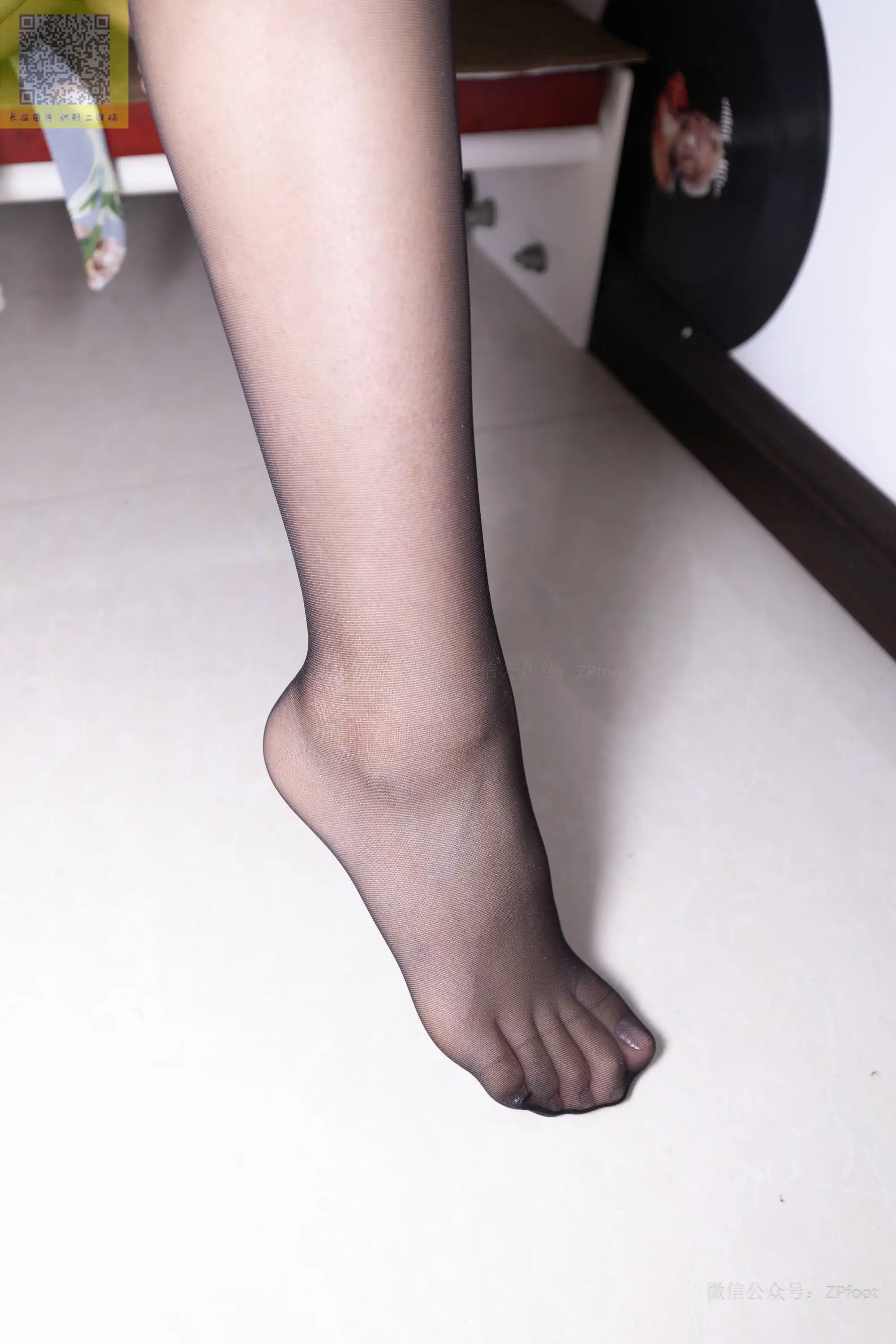 ISS山茶摄影 113 可爱美丽的小鹿 [41P+32M] - 第3张