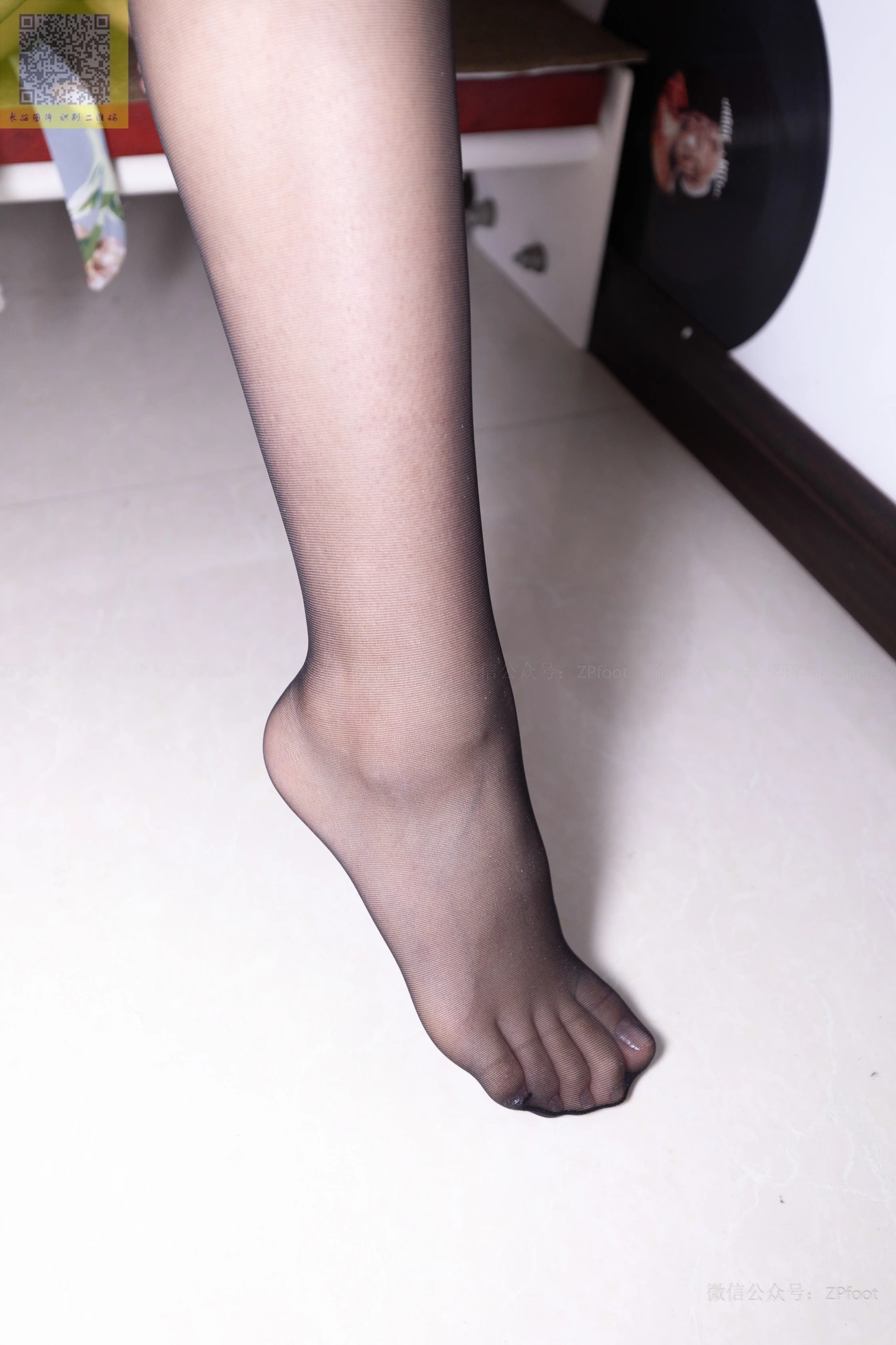 ISS山茶摄影 249 [41P+162M] - 第3张