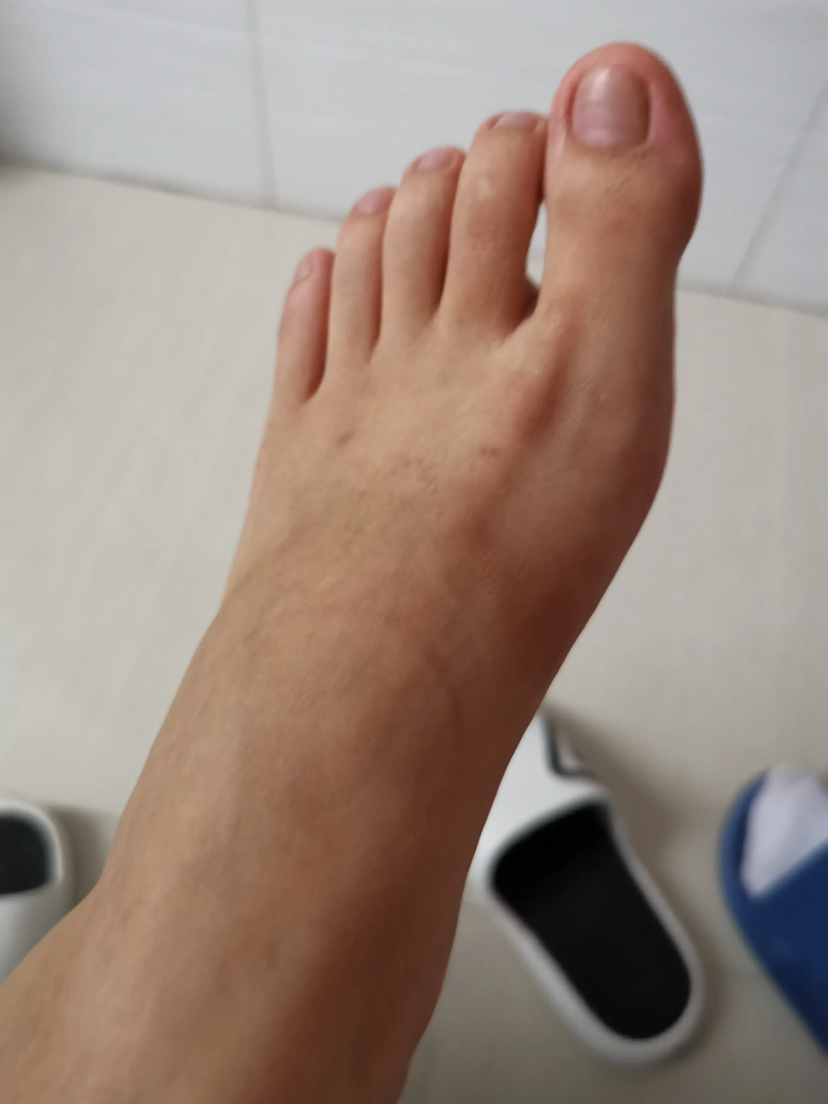鱼鱼足影 NO.002 长隆[54P／103MB] - 第4张