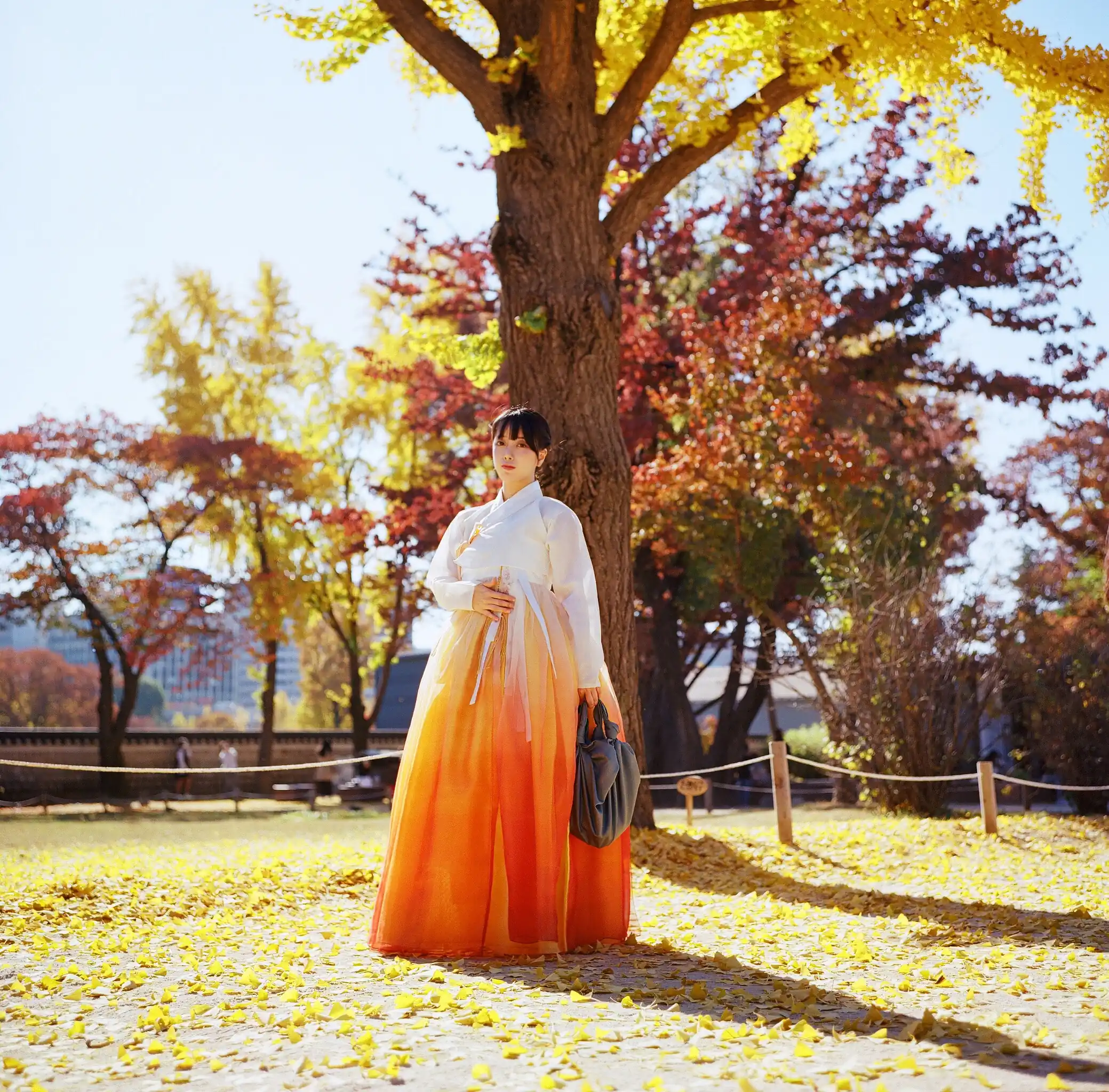 DJAWA Photo Vol.0330 ZziZzi (모찌) Vol.14 Chuseok [133P／2.16GB] - 第3张