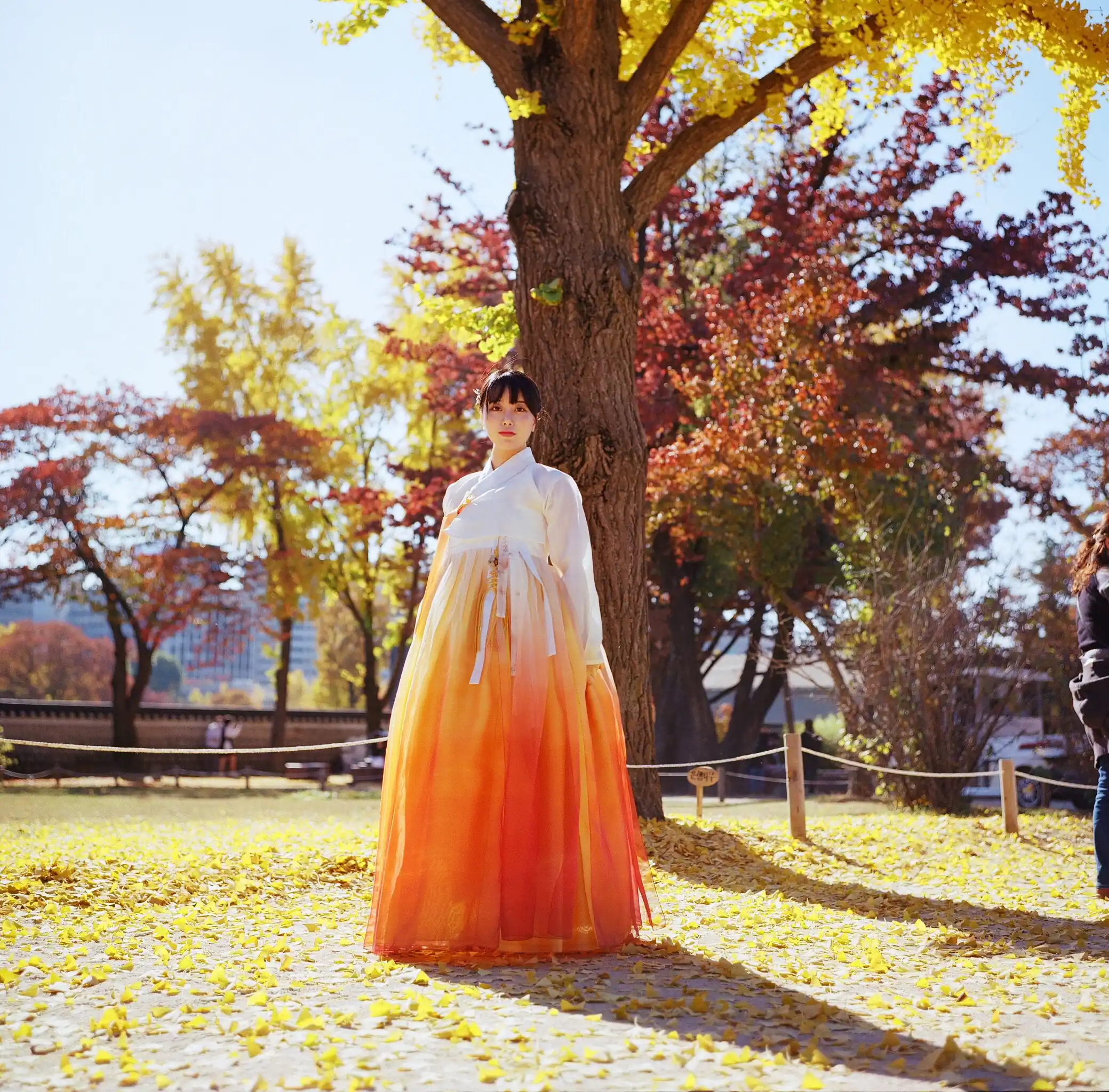 DJAWA Photo Vol.0330 ZziZzi (모찌) Vol.14 Chuseok [133P／2.16GB] - 第4张