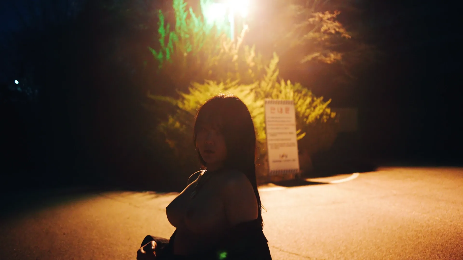 115_Loozy Zia (지아) XXX At Night Road [161P+6V／5GB] - 第3张