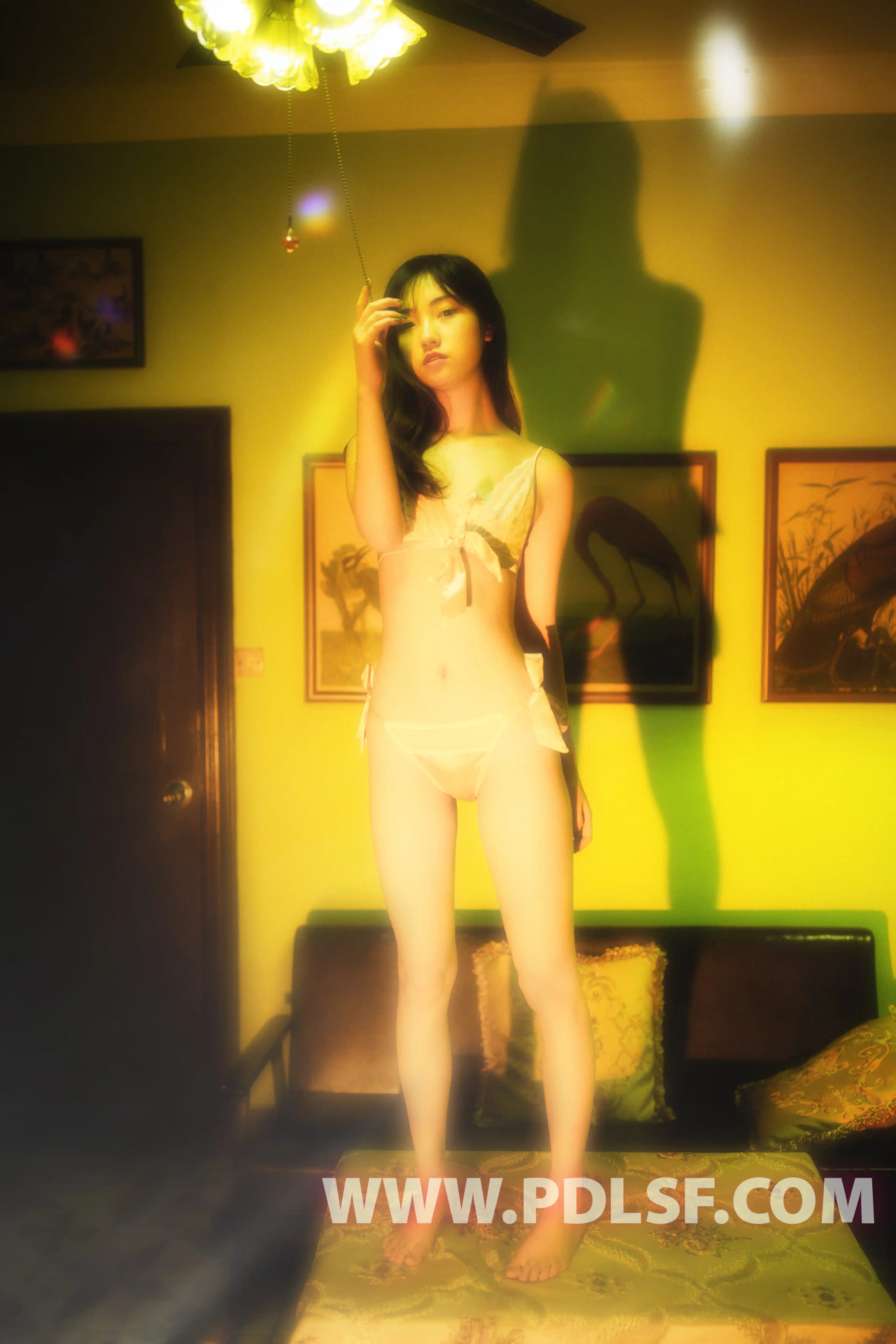 [PDL潘多拉] 2019.07.31 NO.434 - 第2张