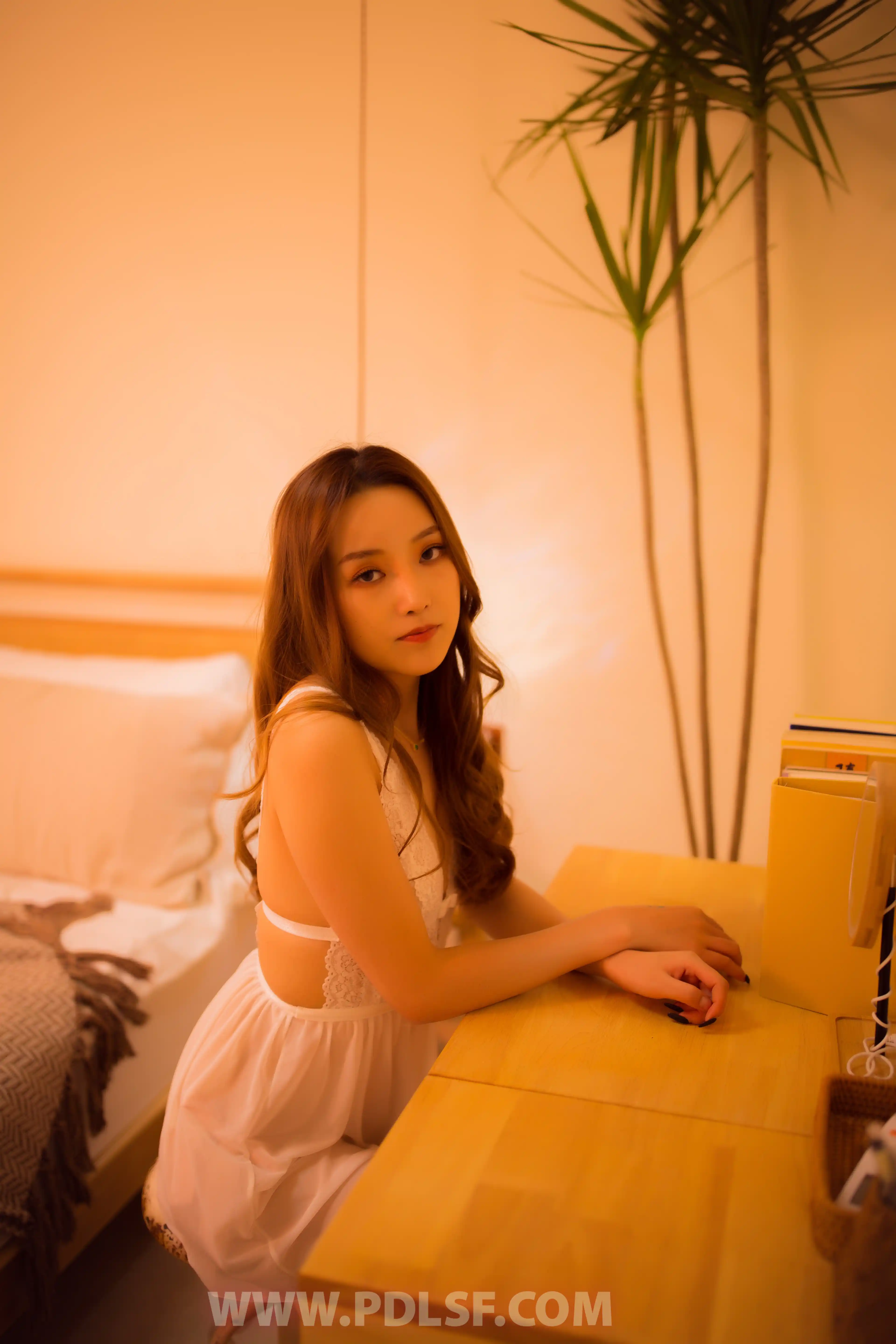 [PDL潘多拉] 2019.12.21 NO.501 - 第3张