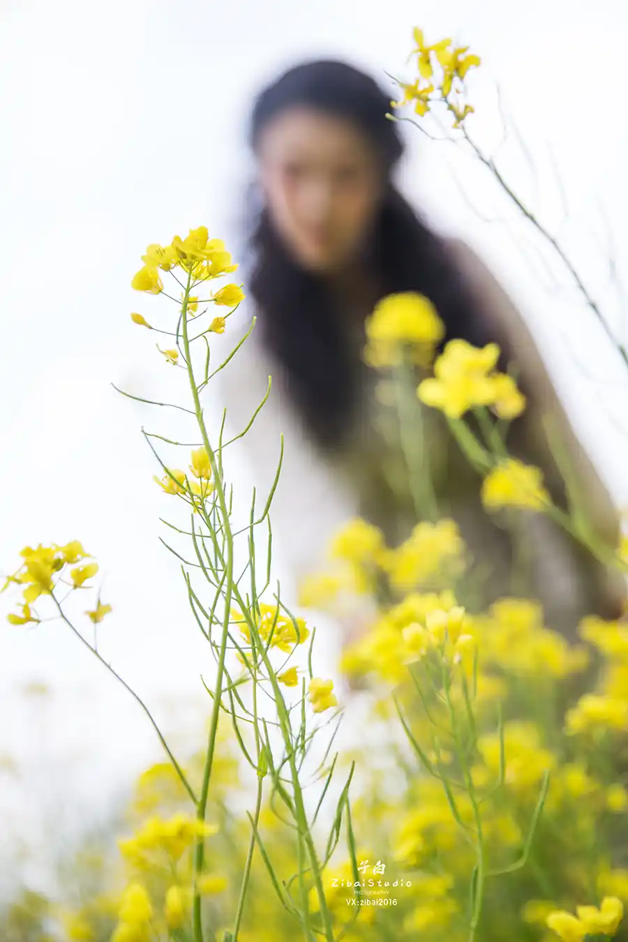 TouTiao头条女神 2020-04-20 钟晴 油菜花的晴天 - 第2张