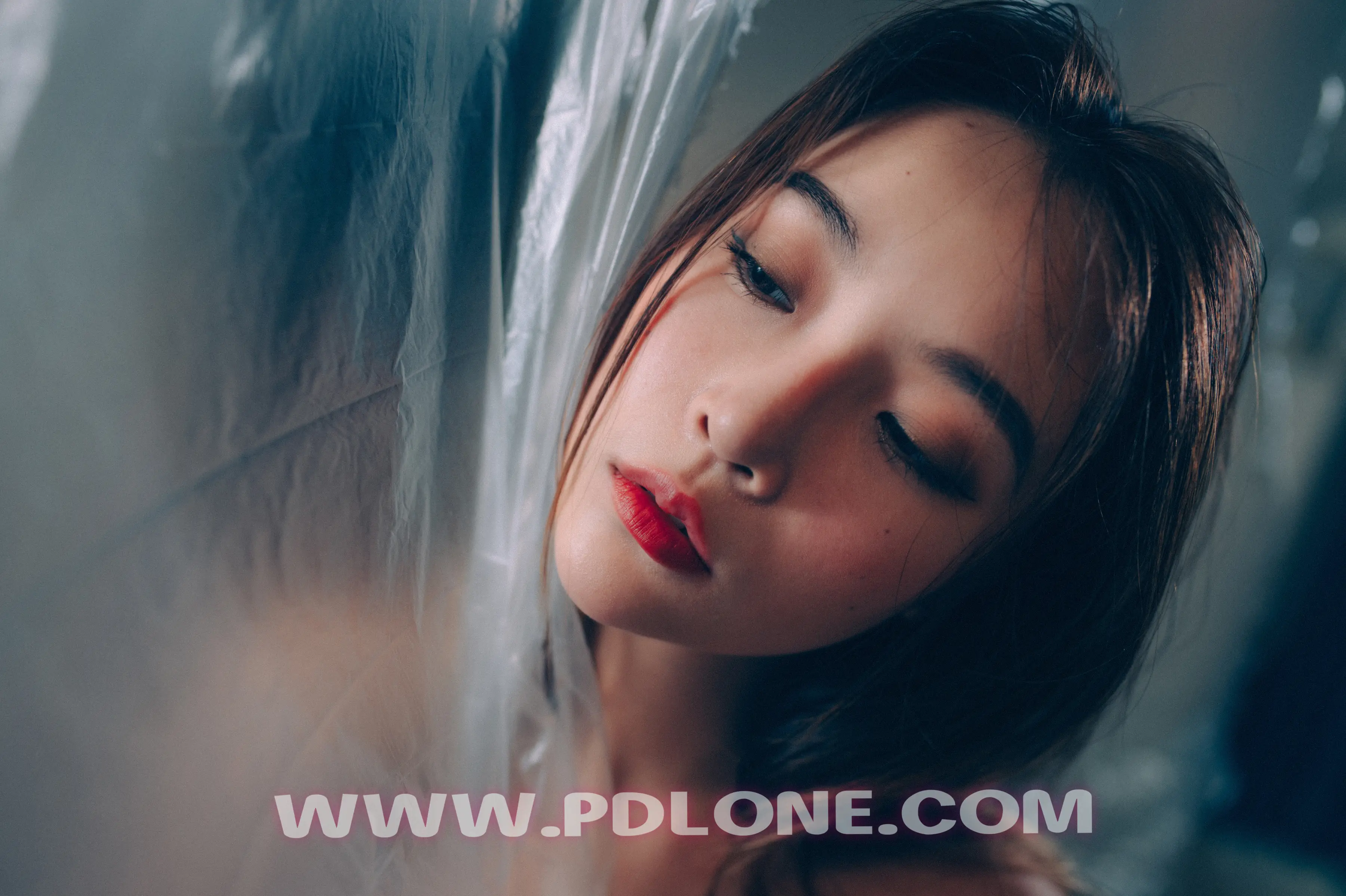 [PDL潘多拉] 2019.01.21 NO.326 [30+1P-261M] - 第2张