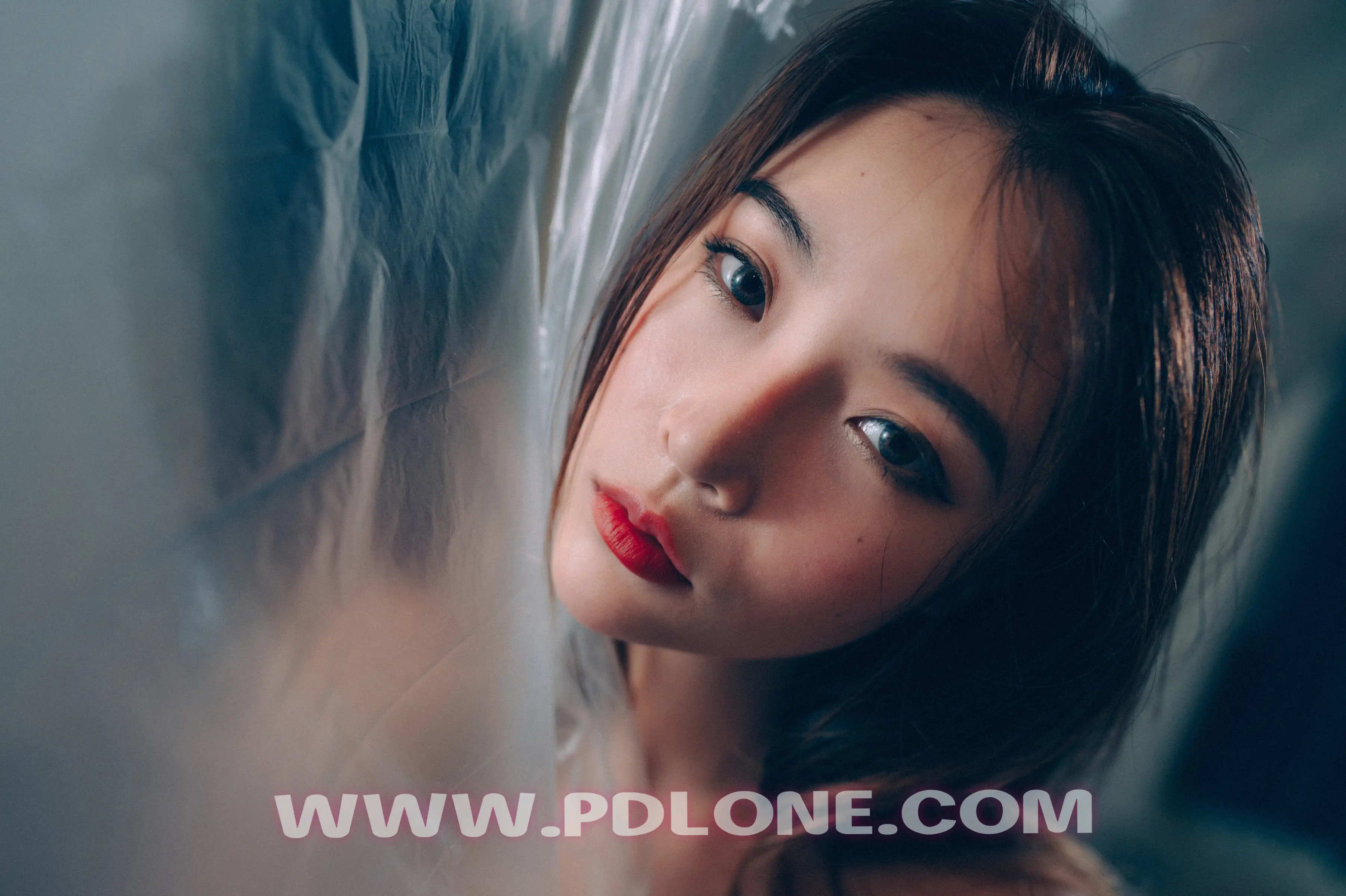 [PDL潘多拉] 2019.01.21 NO.326 [30+1P-261M] - 第3张