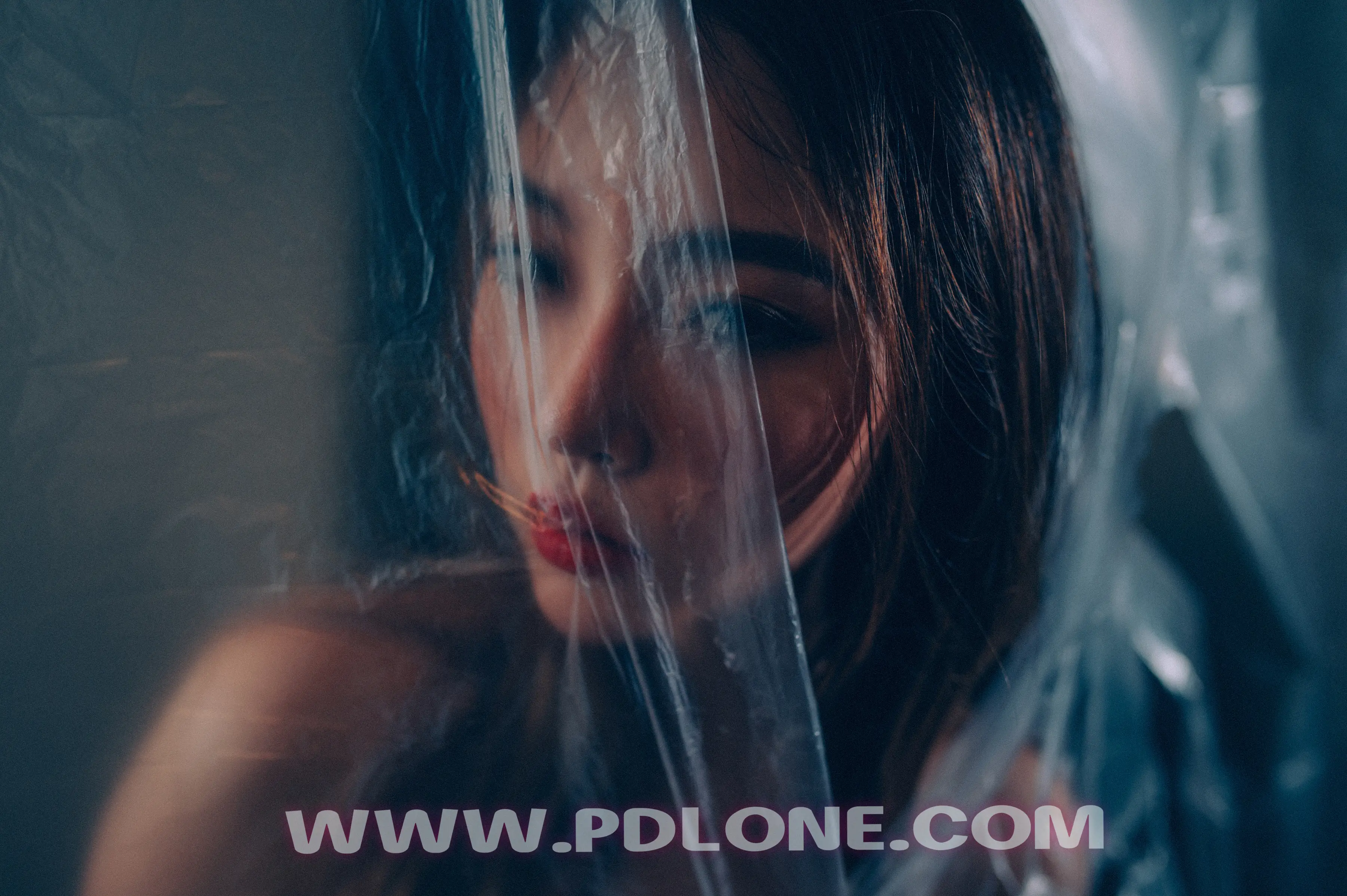 [PDL潘多拉] 2019.01.24 NO.327 [35+1P-319M]