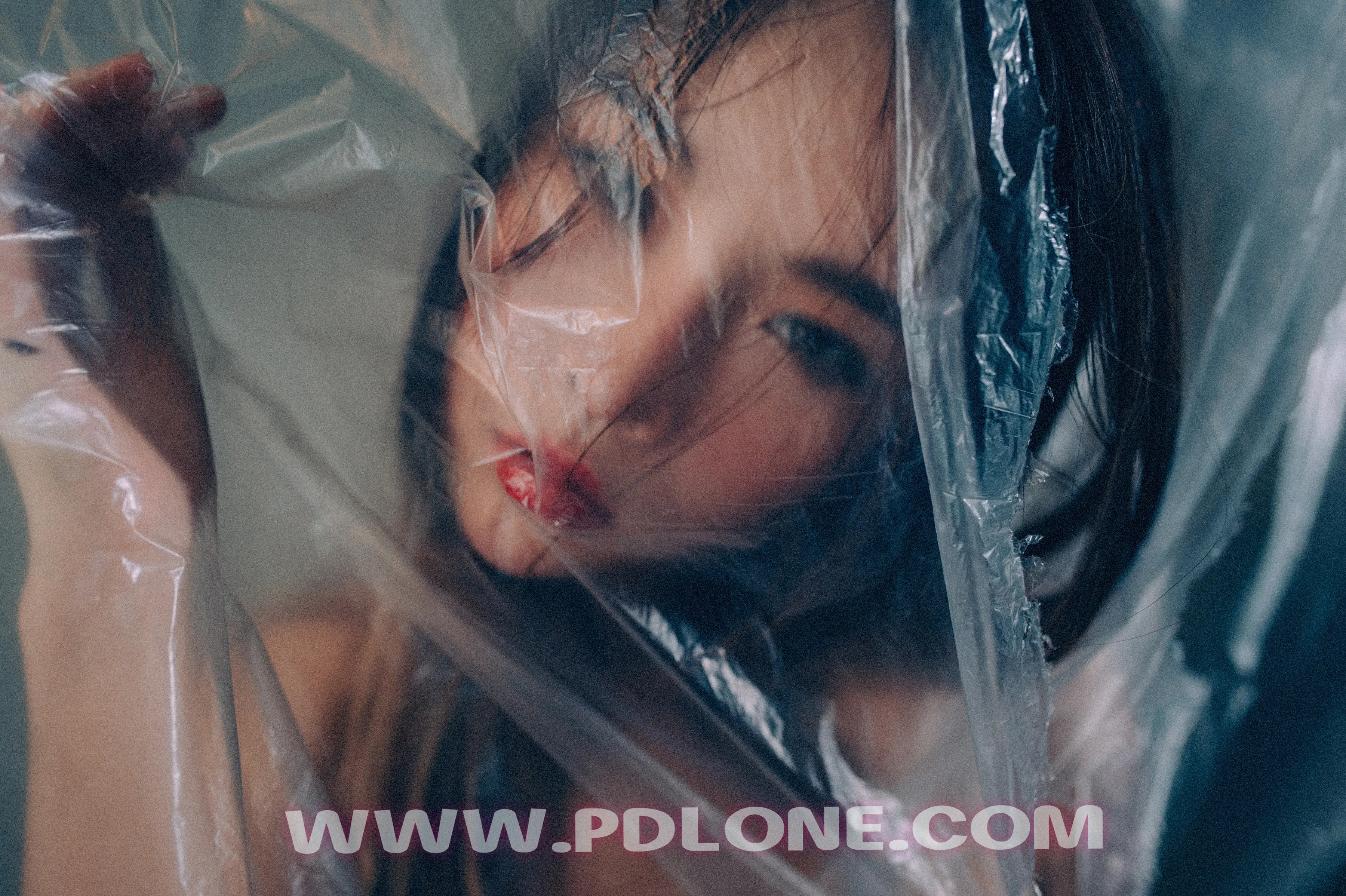 [PDL潘多拉] 2019.01.24 NO.327 [35+1P-319M] - 第2张
