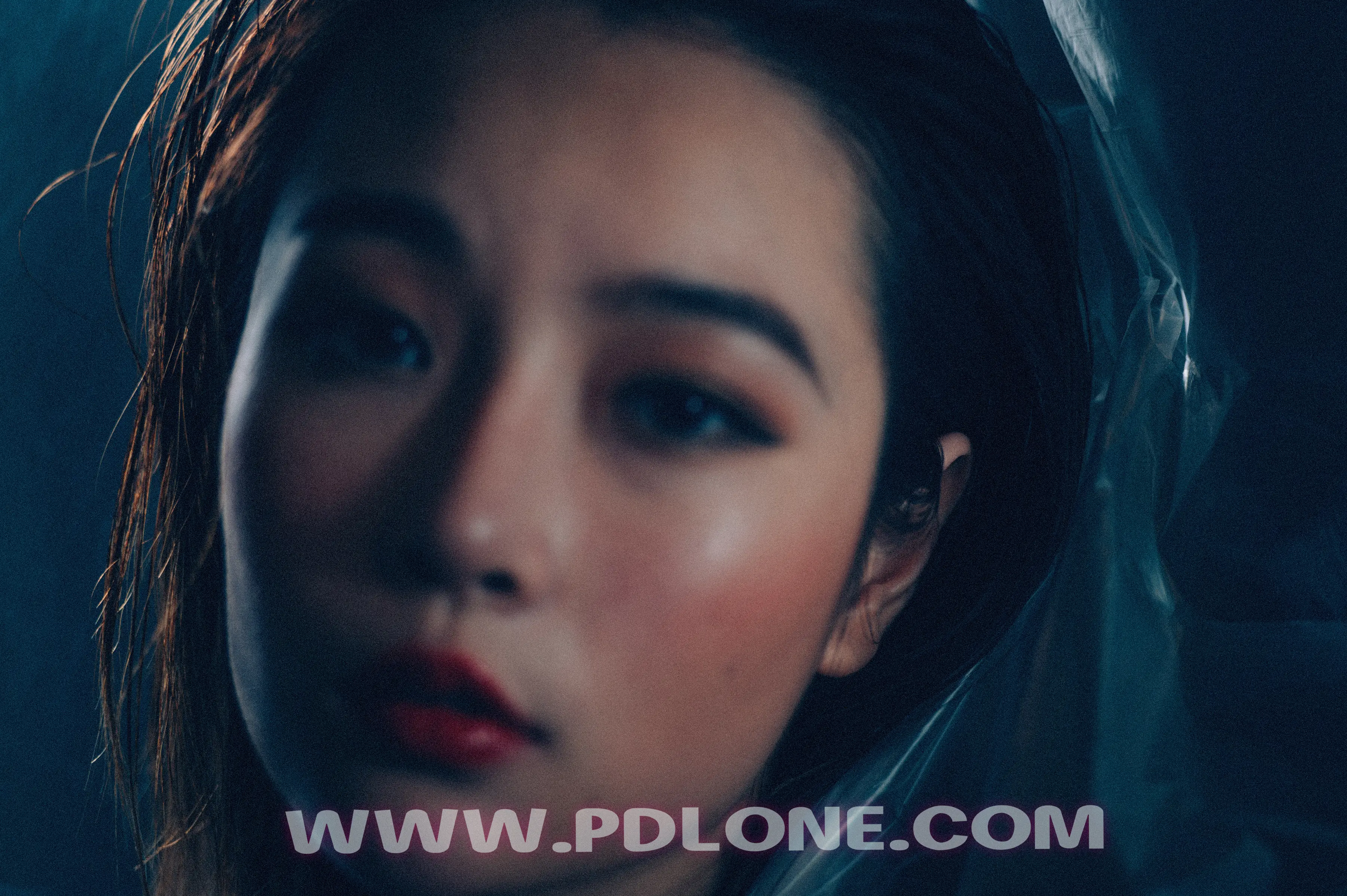 [PDL潘多拉] 2019.01.24 NO.327 [35+1P-319M] - 第3张