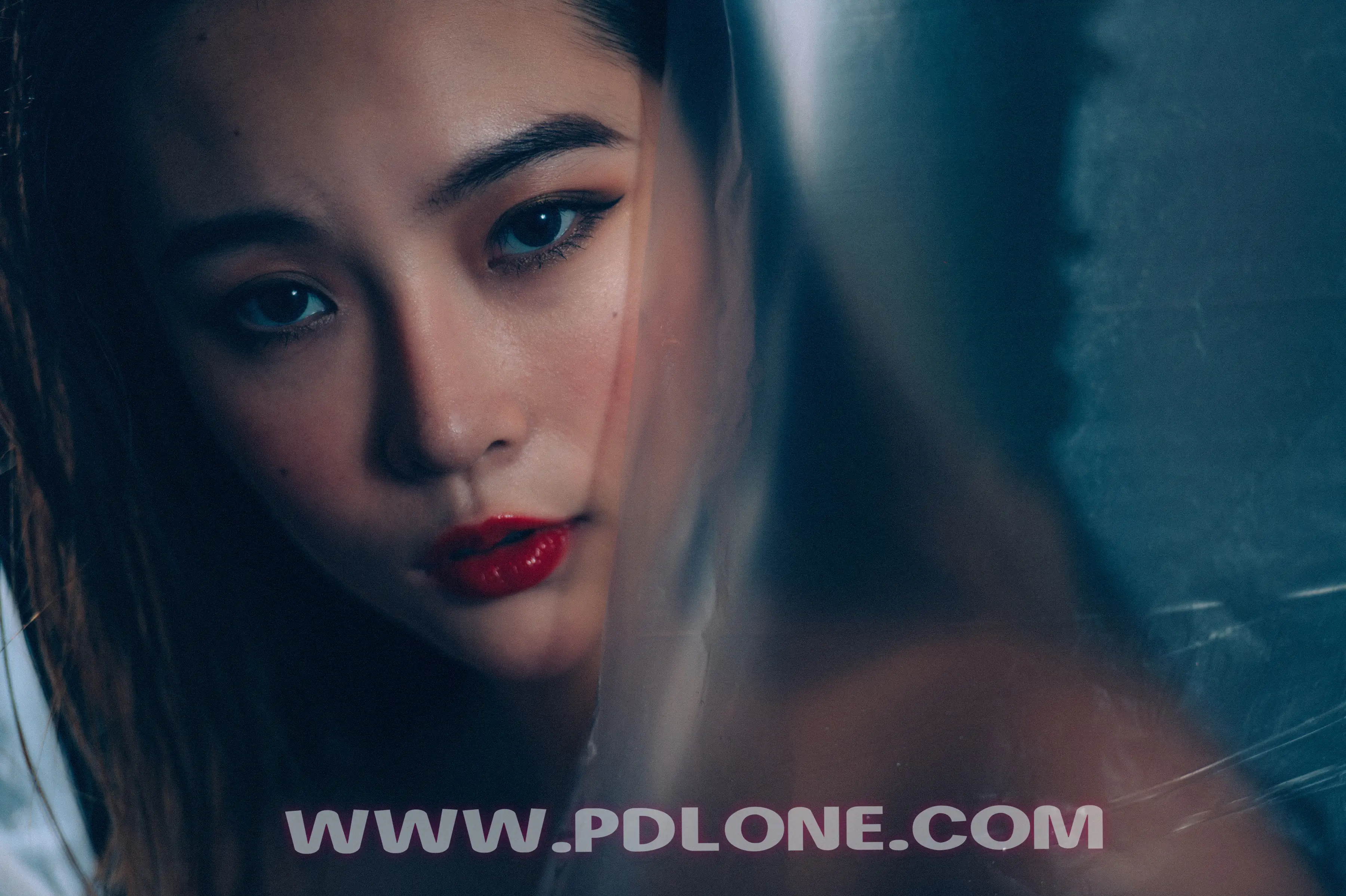 [PDL潘多拉] 2019.01.24 NO.327 [35+1P-319M] - 第4张