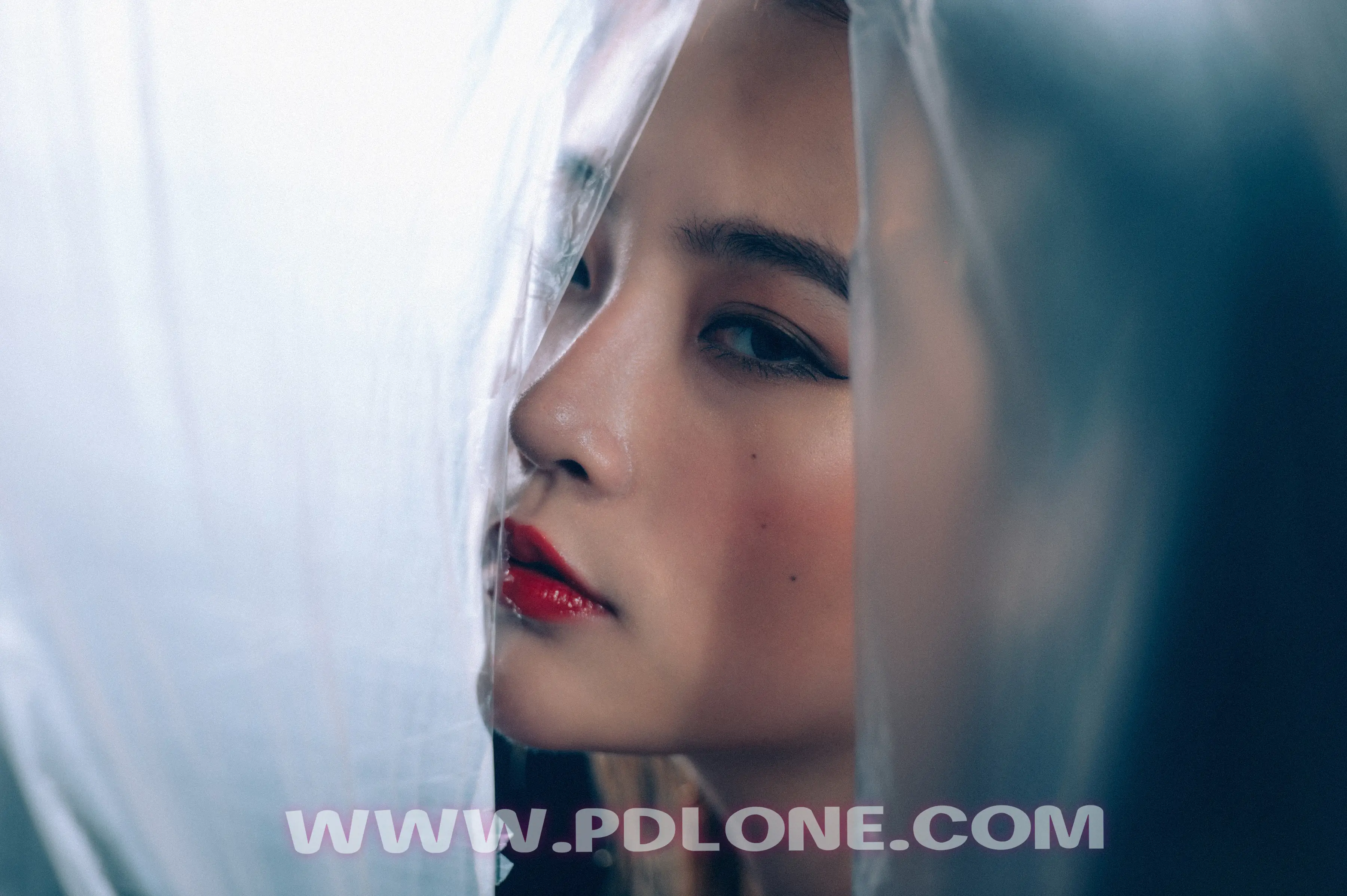 [PDL潘多拉] 2019.01.24 NO.327 [35+1P-319M] - 第5张