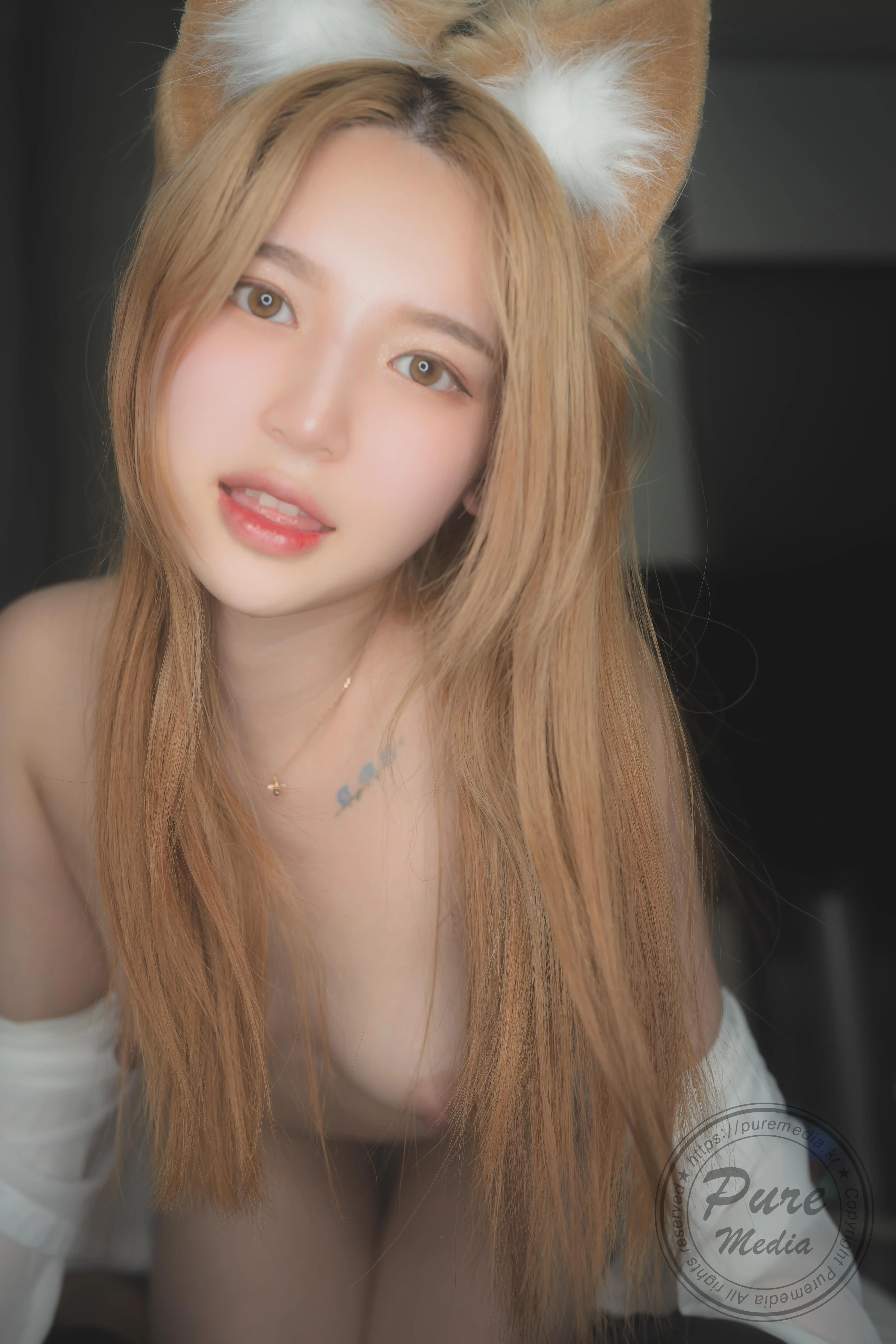 Pure Media Vol.0195 260 Yeha (예하) Stick my tail in the hole [167P／302MB]