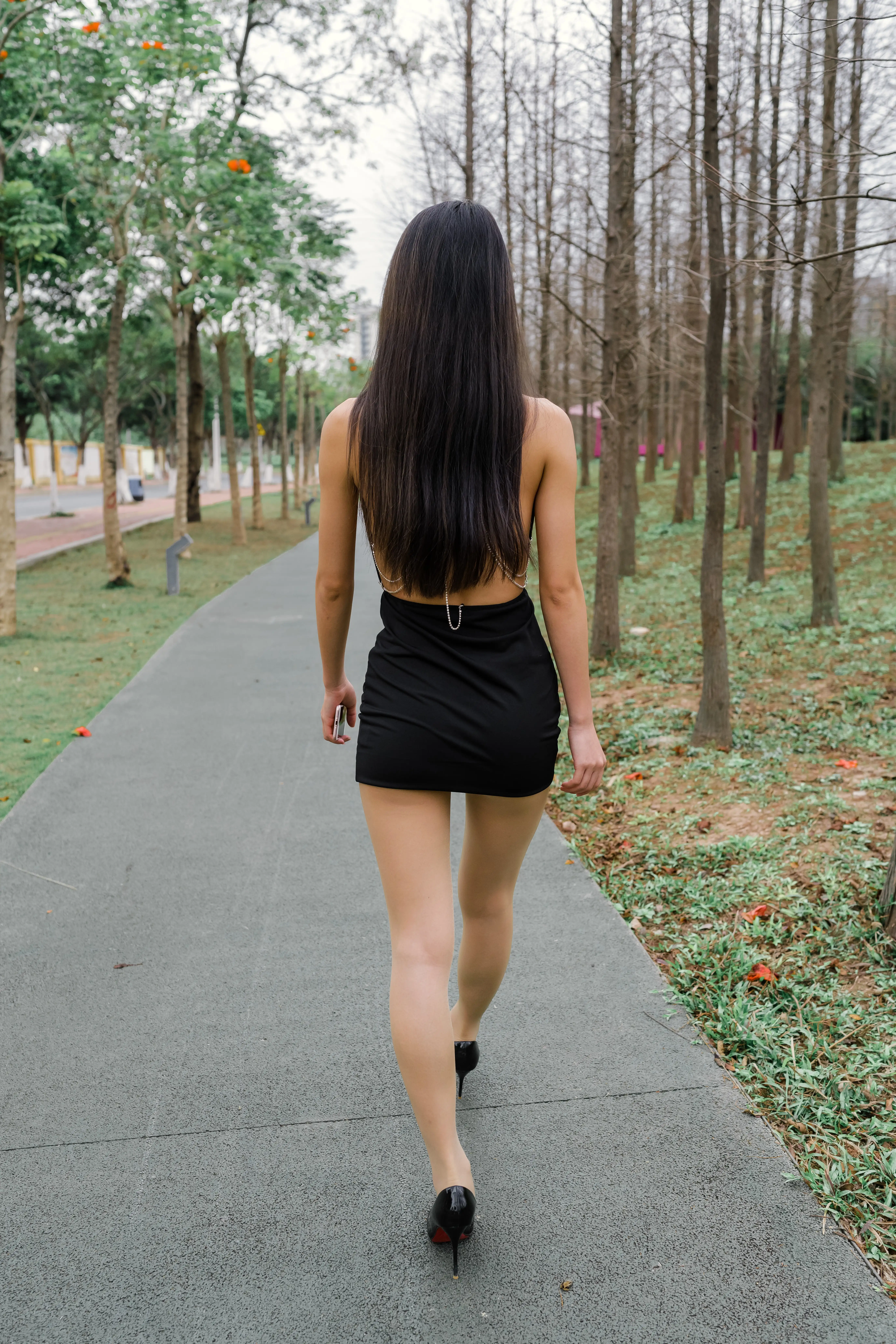 1604 [312P 1V] - 第3张