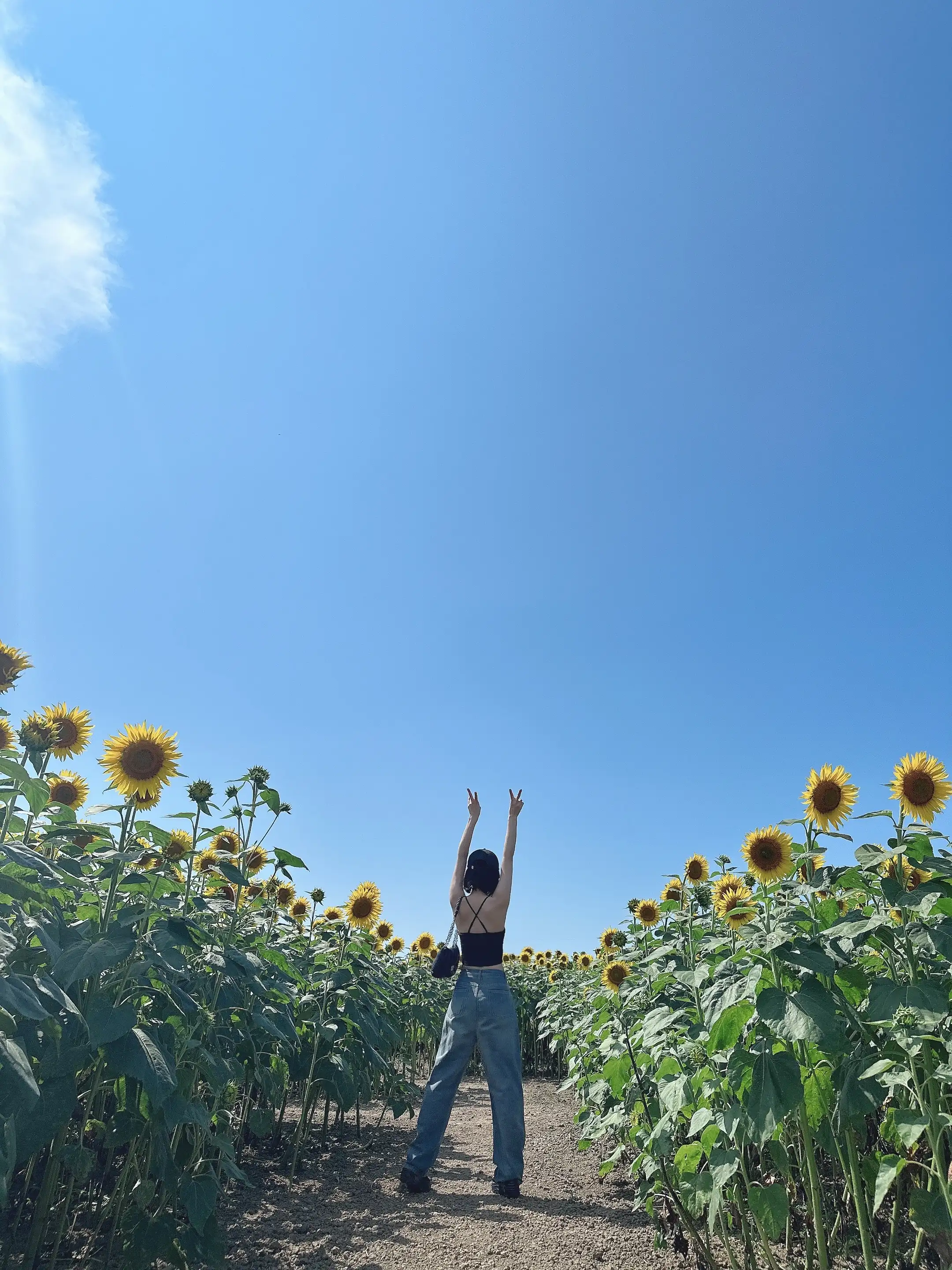 けん研(けんけん) - NO.056 [Fantia] 23年07月合集[197P-1V-879.5M] - 第85张
